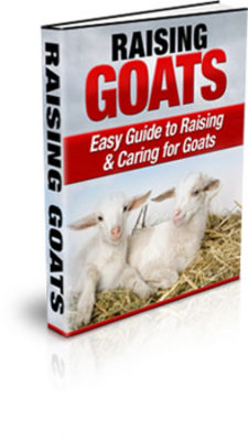 Product picture How to Raising Goats with PLR